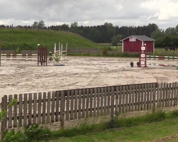 Reitturnier Schülp / Rendsburg 2022