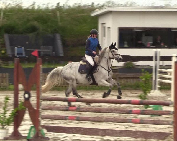 Reitturnier Schülp / Rendsburg 2022