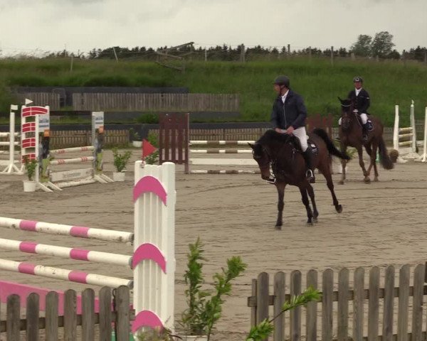 Reitturnier Schülp / Rendsburg 2022
