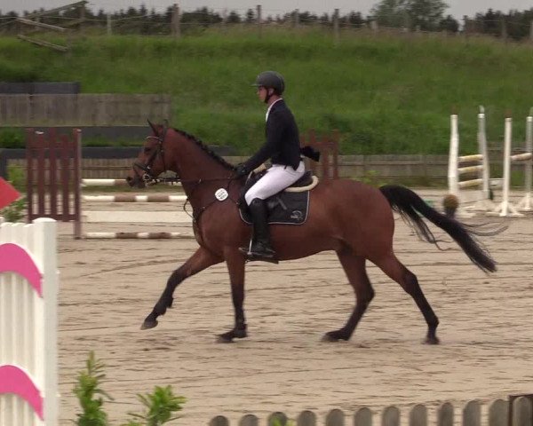Reitturnier Schülp / Rendsburg 2022