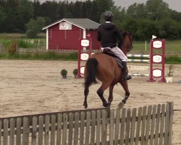 Reitturnier Schülp / Rendsburg 2022
