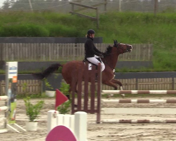 Reitturnier Schülp / Rendsburg 2022