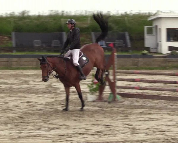 Reitturnier Schülp / Rendsburg 2022