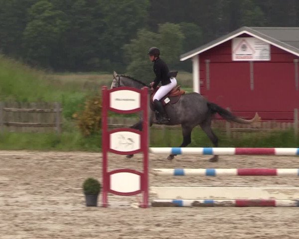 Reitturnier Schülp / Rendsburg 2022