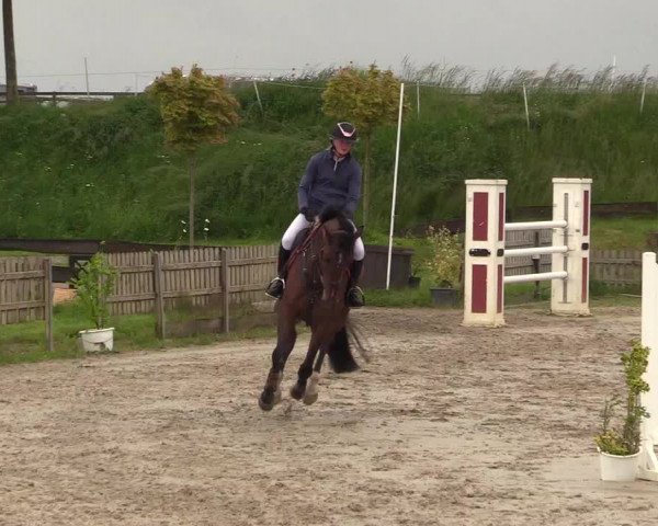 Reitturnier Schülp / Rendsburg 2022