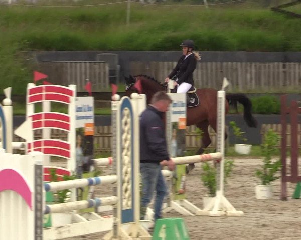 Reitturnier Schülp / Rendsburg 2022