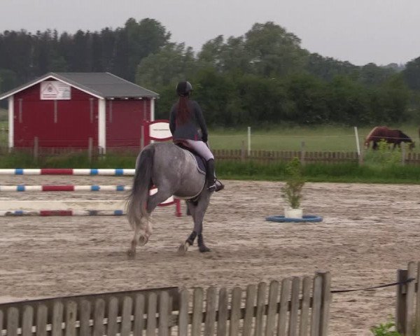 Reitturnier Schülp / Rendsburg 2022
