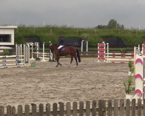 Reitturnier Schülp / Rendsburg 2022