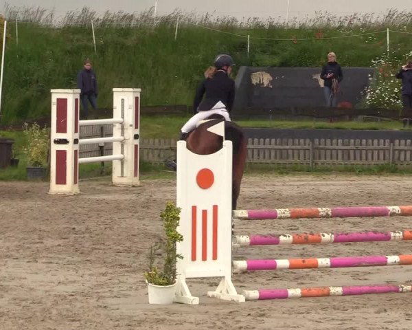 Reitturnier Schülp / Rendsburg 2022