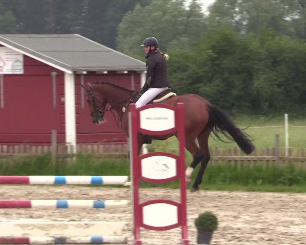 Reitturnier Schülp / Rendsburg 2022
