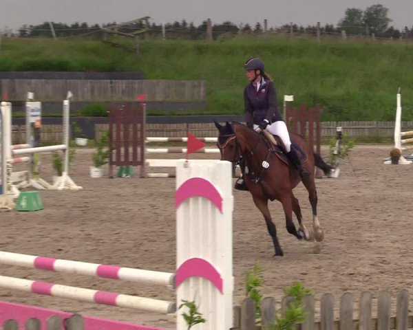Reitturnier Schülp / Rendsburg 2022
