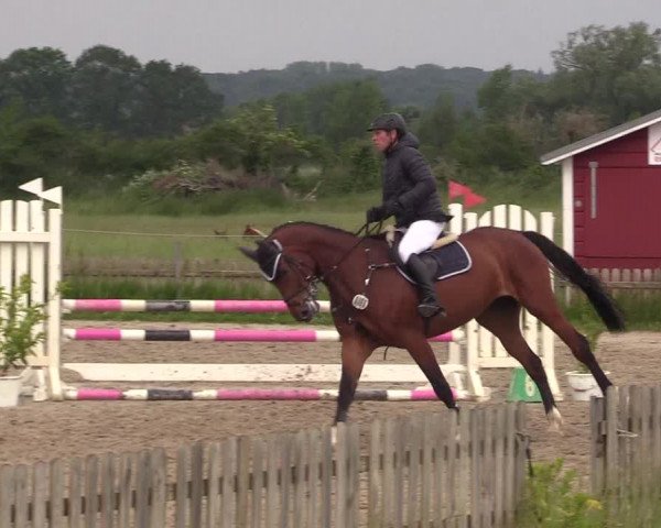 Reitturnier Schülp / Rendsburg 2022