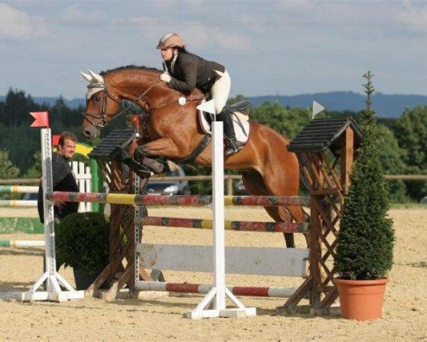 jumper Ligretto JA (Westphalian, 1998, from Lancer II)