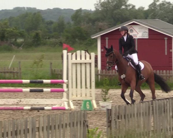 Reitturnier Schülp / Rendsburg 2022
