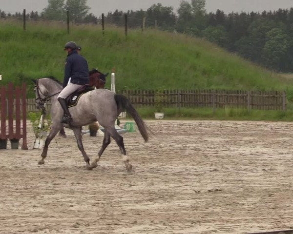 Reitturnier Schülp / Rendsburg 2022