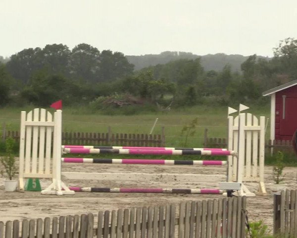 Reitturnier Schülp / Rendsburg 2022