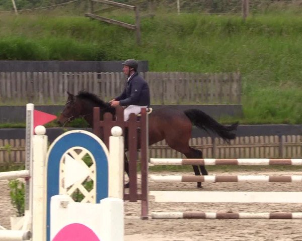 Reitturnier Schülp / Rendsburg 2022