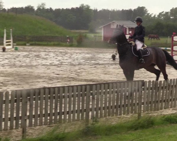 Reitturnier Schülp / Rendsburg 2022