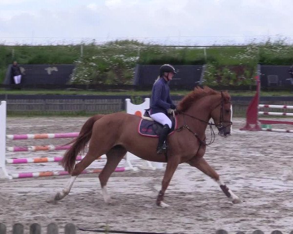 Reitturnier Schülp / Rendsburg 2022