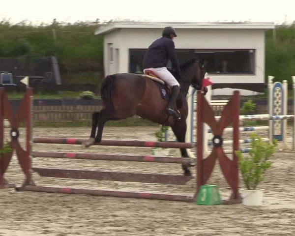 Reitturnier Schülp / Rendsburg 2022