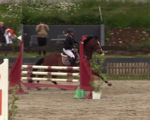 Reitturnier Schülp / Rendsburg 2022