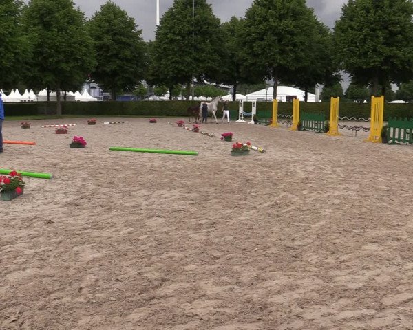 Euregio-Pferdeschau Aachen 2022