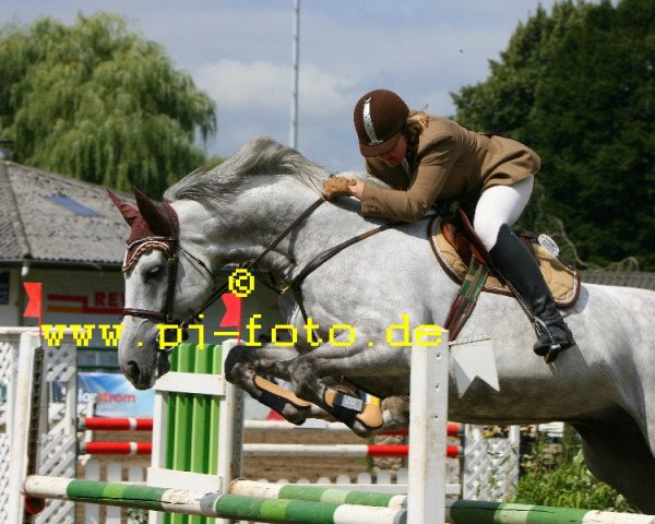 Springpferd Centime Z (Zangersheide Reitpferd, 1998, von Carthago)
