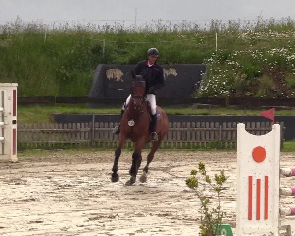 Reitturnier Schülp / Rendsburg 2022
