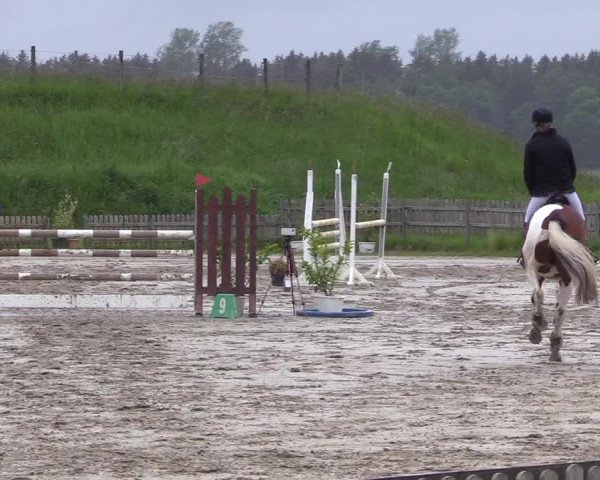 Reitturnier Schülp / Rendsburg 2022