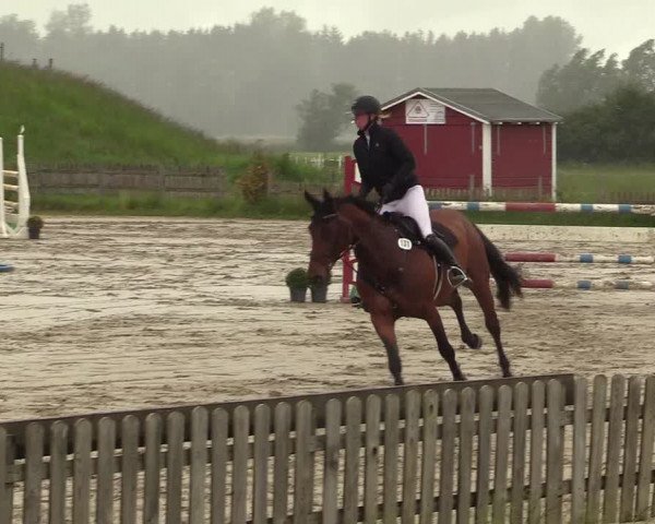 Reitturnier Schülp / Rendsburg 2022