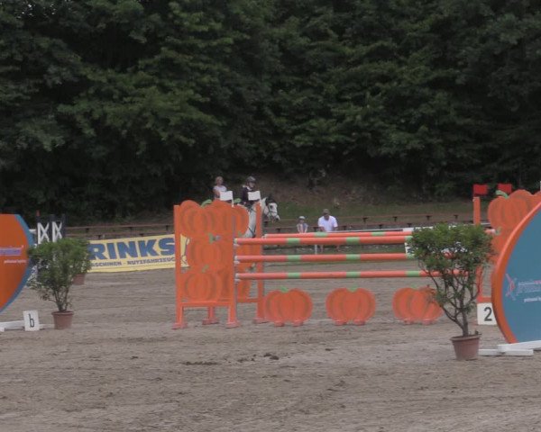 Reitturnier Lgl.-Oberhain, B95 2022