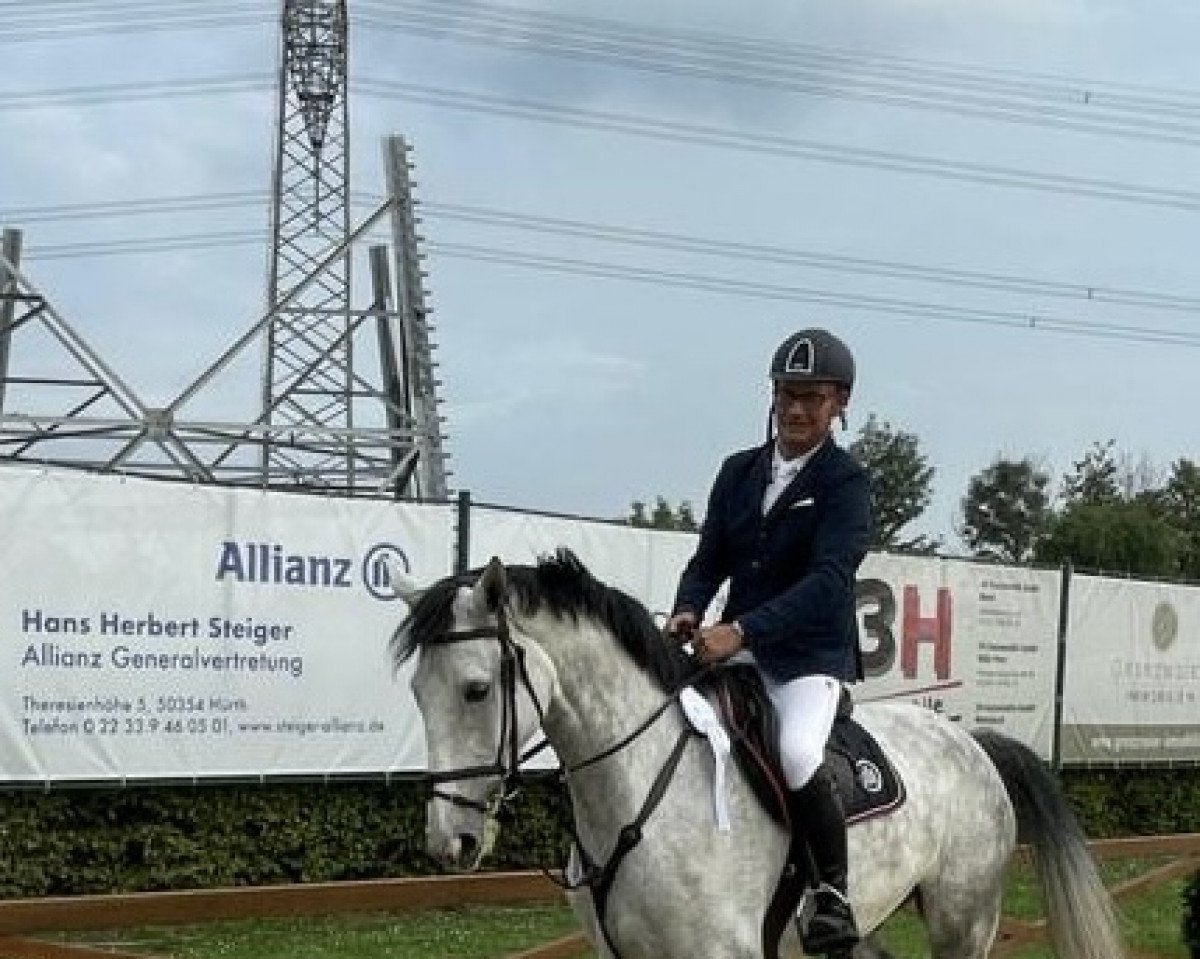 Springpferd Robert Renetty (Zangersheide Reitpferd, 2015, von Riad Chah des Aucels)