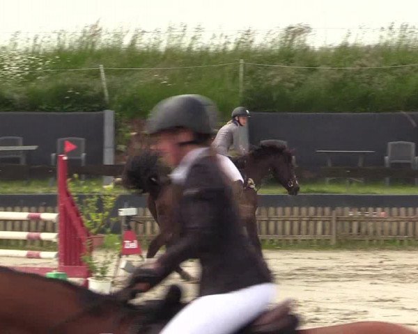 Reitturnier Schülp / Rendsburg 2022