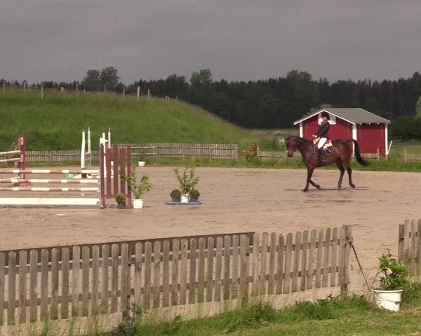 Reitturnier Schülp / Rendsburg 2022