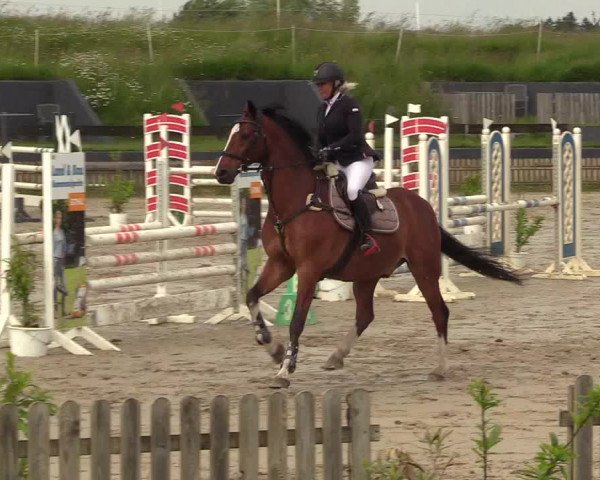 Reitturnier Schülp / Rendsburg 2022