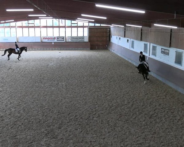 Reitturnier Everswinkel 2022