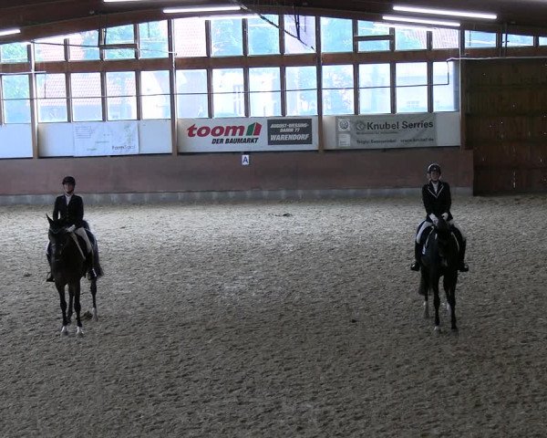 Reitturnier Everswinkel 2022