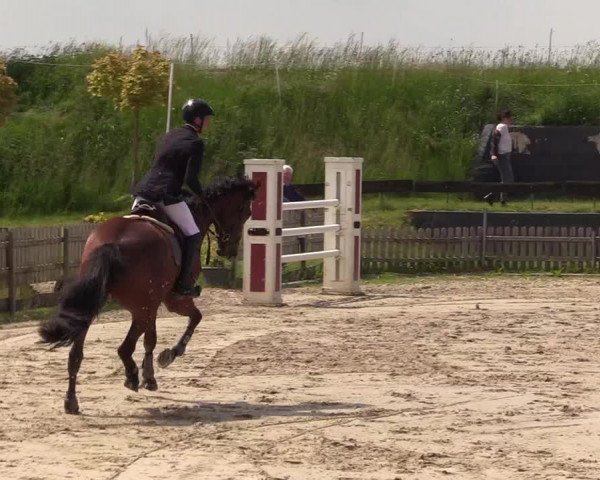 Reitturnier Schülp / Rendsburg 2022