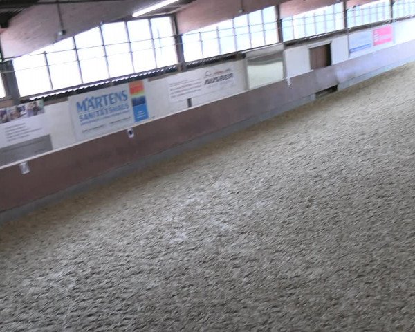 Reitturnier Everswinkel 2022