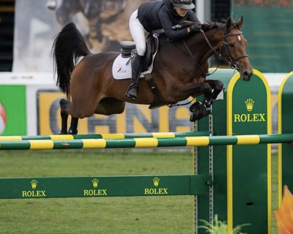 jumper Goodbye (KWPN (Royal Dutch Sporthorse), 2011, from Eldorado van de Zeshoek)