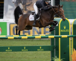 jumper Goodbye (KWPN (Royal Dutch Sporthorse), 2011, from Eldorado van de Zeshoek)