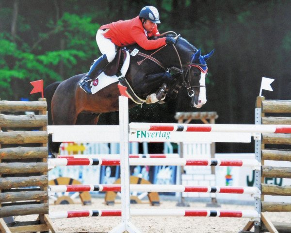 Springpferd Asgat (Oldenburger, 1998, von Ars Vivendi)