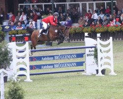 jumper Boca Junior (Oldenburg show jumper, 2004, from Balou du Rouet)