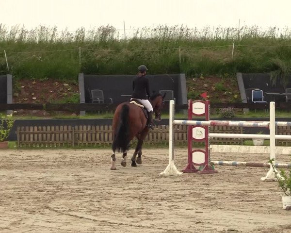 Reitturnier Schülp / Rendsburg 2022