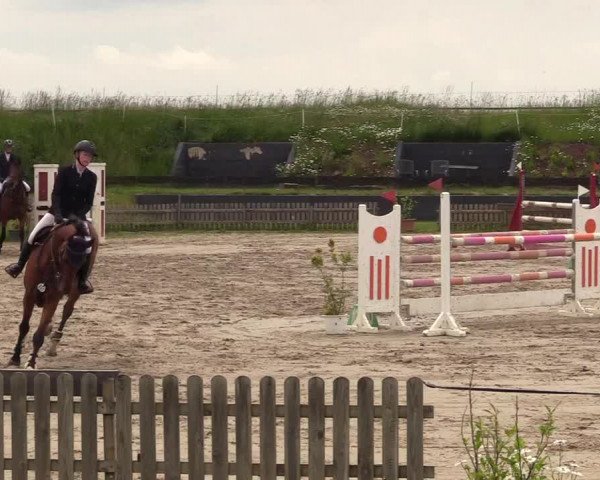 Reitturnier Schülp / Rendsburg 2022