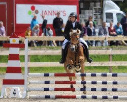jumper Nice Girl 23 (Haflinger, 2013)