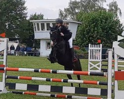 jumper Kamillo 3 (German Riding Pony, 2018, from Kwept)