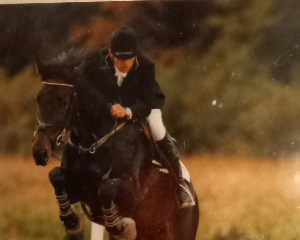 Pferd Estelle (Bayer, 1993, von Lauritz J)
