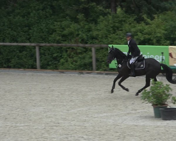 Reitturnier Erkrath - Uhlenhof 2022