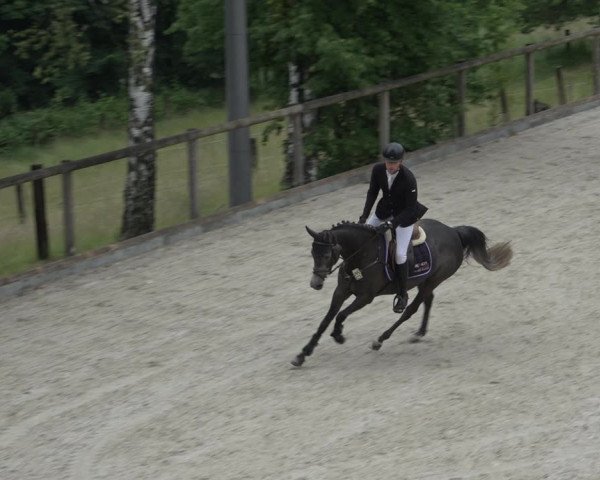 Reitturnier Erkrath - Uhlenhof 2022